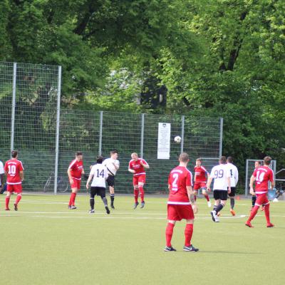 19.05.2019 29. Punktspiel Gegen Fc Dynamo 1 3 Zu 1 Verloren 0005